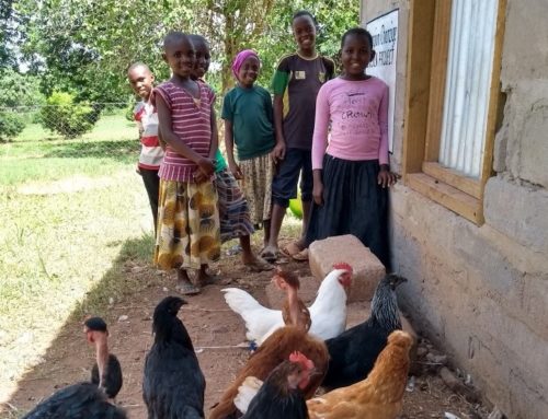 MEETING NEEDS HATCHES PLAN TO HELP TANZANIAN SCHOOLCHILDREN WITH CHICKEN FARMS
