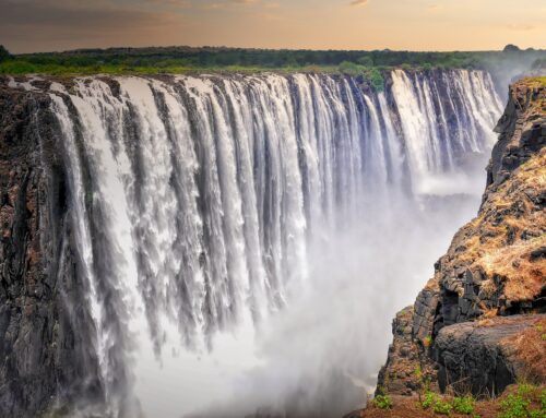 Eight days to bid for your luxury safari to Vic Falls and the Zambezi